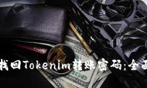 如何找回Tokenim转账密码：全面指南