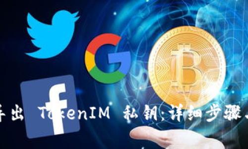 如何安全导出 TokenIM 私钥：详细步骤与注意事项