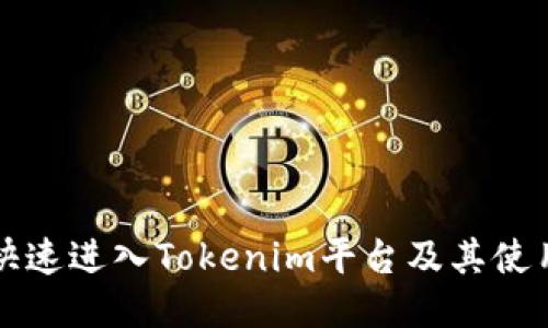 如何快速进入Tokenim平台及其使用指南