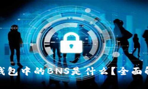 ### Tokenim钱包中的BNS是什么？全面解析其功能与作用