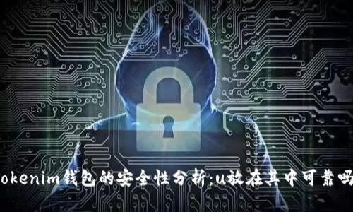 Tokenim钱包的安全性分析：u放在其中可靠吗？