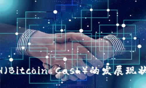 bianse
    2023年BCH（Bitcoin Cash）的发展现状与投资前景分析