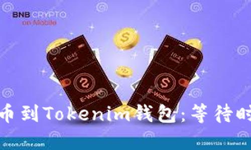 从Bitz提币到Tokenim钱包：等待时间和指南