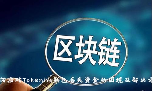 如何应对Tokenim钱包丢失资金的困境及解决方法