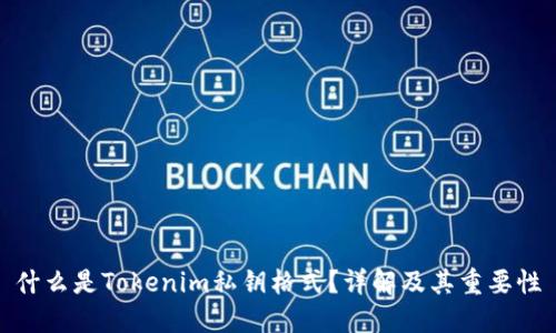 什么是Tokenim私钥格式？详解及其重要性