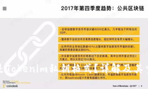 什么是Tokenim私钥格式？详解及其重要性