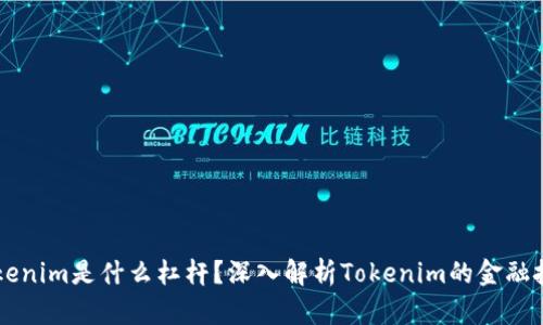 ### Tokenim是什么杠杆？深入解析Tokenim的金融技术与应用