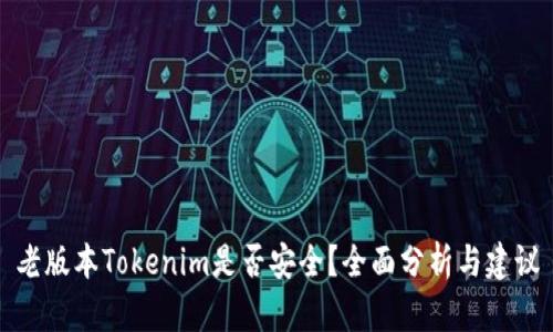 老版本Tokenim是否安全？全面分析与建议