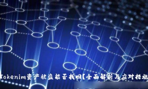 Tokenim资产被盗能否找回?全面解析与应对措施