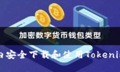 如何在国内安全下载和使用Tokenim应用程序