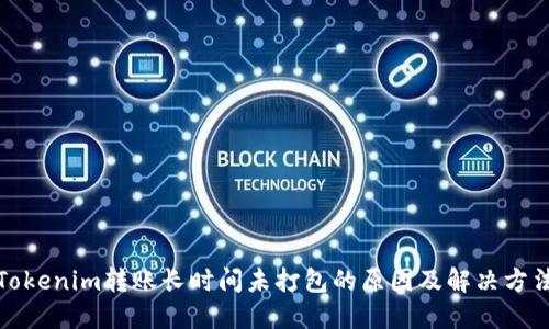 Tokenim转账长时间未打包的原因及解决方法