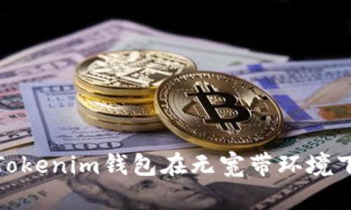 : 如何解决Tokenim钱包在无宽带环境下的使用问题