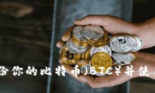 如何安全地备份你的比特币（BTC）并使用Tokenim平台