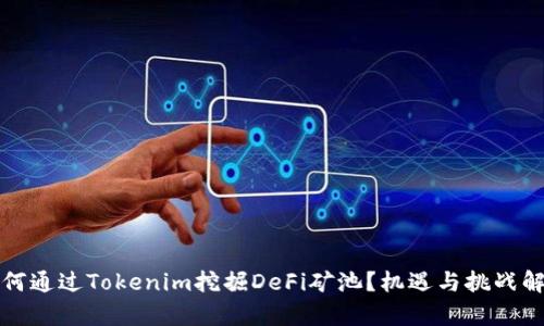 如何通过Tokenim挖掘DeFi矿池？机遇与挑战解析