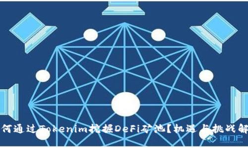 如何通过Tokenim挖掘DeFi矿池？机遇与挑战解析