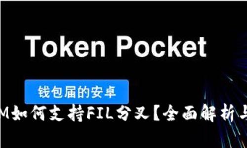 : TokenIM如何支持FIL分叉？全面解析与应用指导