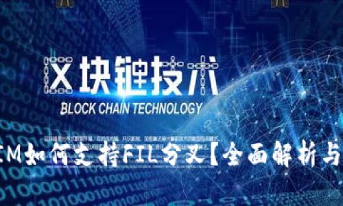 : TokenIM如何支持FIL分叉？全面解析与应用指导