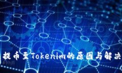 货币无法提币至Tokenim的原因与解决方案分析