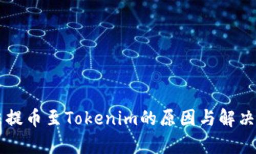 货币无法提币至Tokenim的原因与解决方案分析
