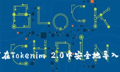 如何在Tokenim 2.0中安全地导入私钥