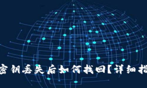 Tokenim钱包密钥丢失后如何找回?详细指南与解决方案