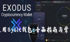 如何安全使用Bybit钱包：全面指南与常见问题解答