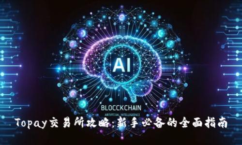 Topay交易所攻略：新手必备的全面指南
