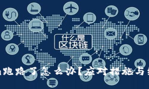 Tokenim跑路了怎么办？应对措施与维权指南