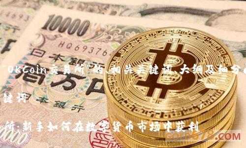 以下是围绕“OKCoin交易所”的、相关关键词、大纲及细分问题的示例。

### 与关键词

OKCoin交易所：新手如何在数字货币市场中获利