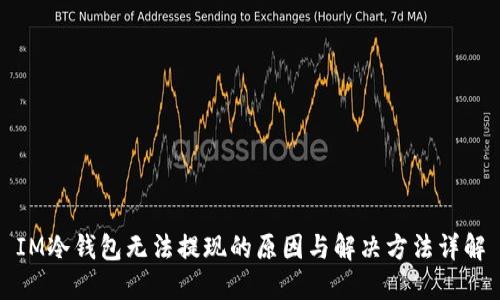 IM冷钱包无法提现的原因与解决方法详解