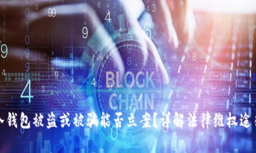 冷钱包被盗或被骗能否立案？详解法律维权途径