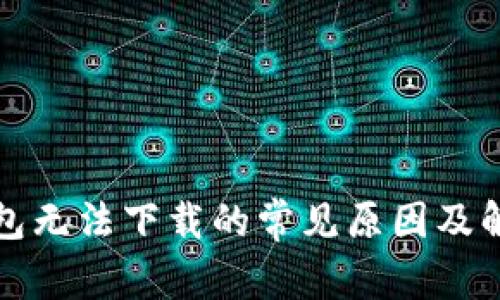 数字钱包无法下载的常见原因及解决方法