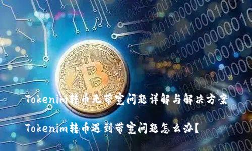 Tokenim转币无带宽问题详解与解决方案

Tokenim转币遇到带宽问题怎么办？