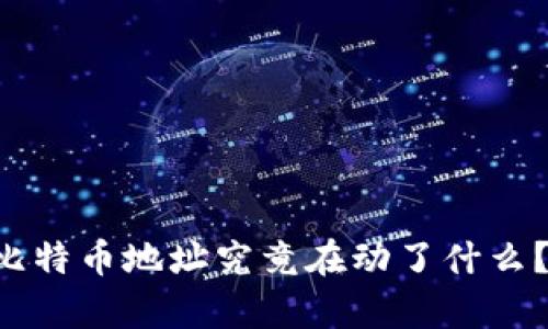 中本聪的比特币地址究竟在动了什么？真相揭晓！