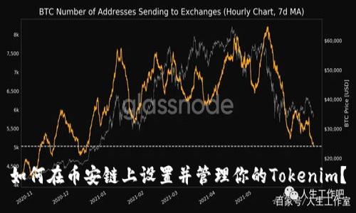 如何在币安链上设置并管理你的Tokenim？