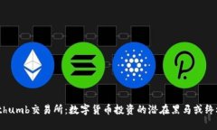 揭秘Bithumb交易所：数字货币投资的潜在黑马或终