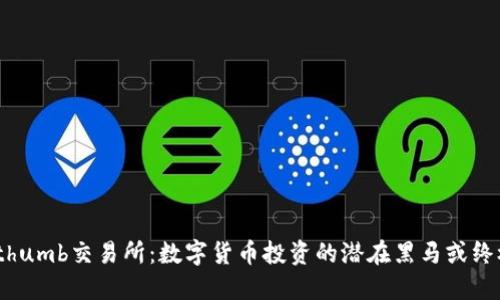 揭秘Bithumb交易所：数字货币投资的潜在黑马或终极陷阱？