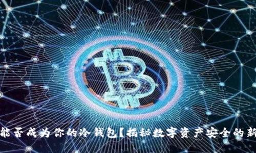 iPad能否成为你的冷钱包？揭秘数字资产安全的新选择