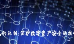 冷钱包的私钥：保护数字资产安全的核心钥匙