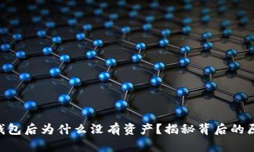 Tokenim导入钱包后为什么没有资产？揭秘背后的原因与解决方案