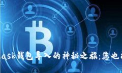 揭秘MetaMask钱包导入的神秘之旅：您也能轻松掌握