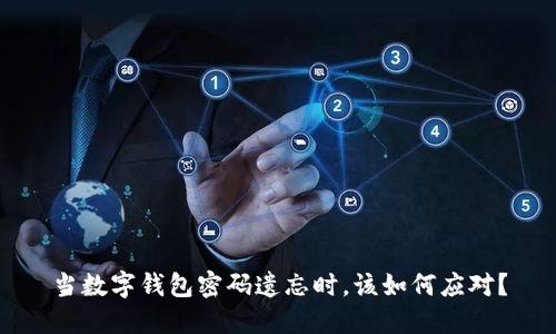 当数字钱包密码遗忘时，该如何应对？