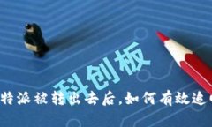 比特派被转出去后，如何有效追回？