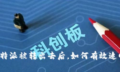 比特派被转出去后，如何有效追回？