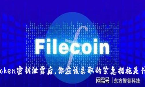 当Token密钥泄露后，你应该采取的紧急措施是什么？