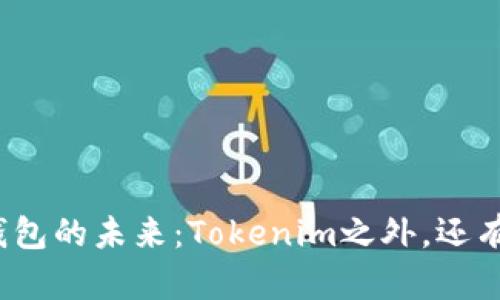 探索数字钱包的未来：Tokenim之外，还有哪些选择？