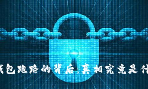 冷钱包跑路的背后：真相究竟是什么？