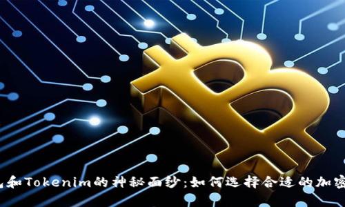 揭开交易所钱包和Tokenim的神秘面纱：如何选择合适的加密资产存储工具？