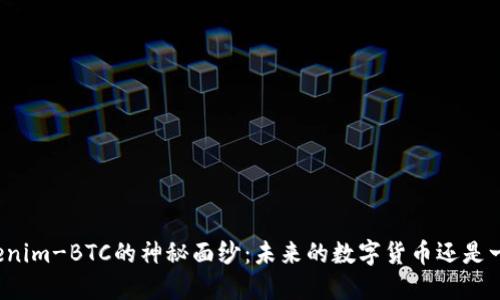揭开Tokenim-BTC的神秘面纱：未来的数字货币还是一场泡沫？