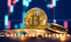 探索 Tokenim 测试节点的神秘面纱：它将如何改变